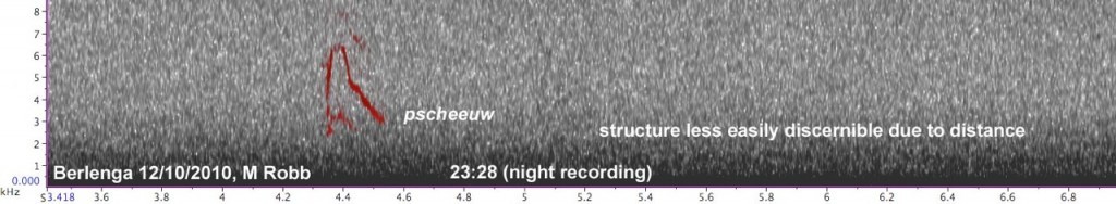 sonogram-2-blyths-pipit-portugal-the-sound-approach